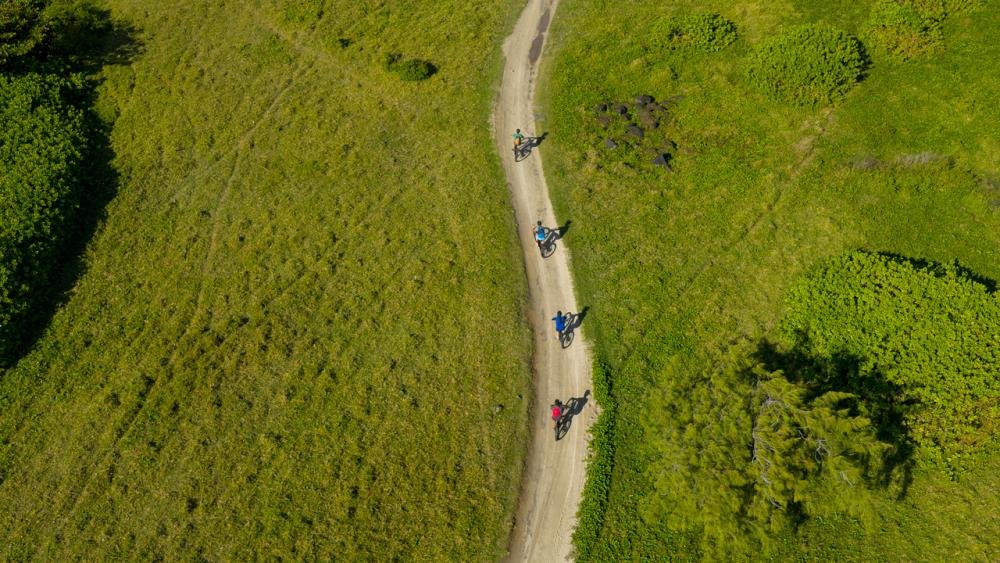 Wild South – E-Bike Adventure | Guided Off-Road Cycling Tour