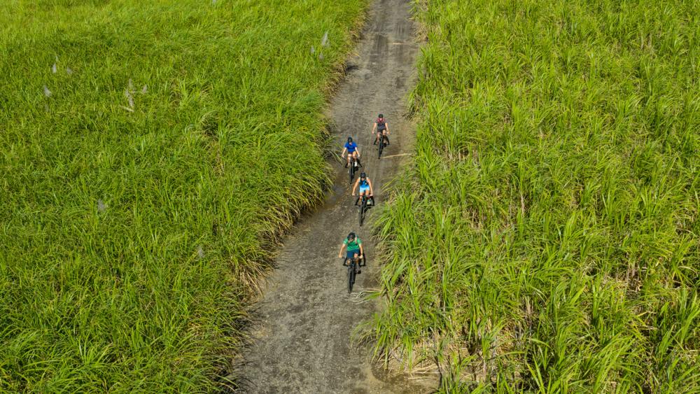 Wild South – E-Bike Adventure | Guided Off-Road Cycling Tour