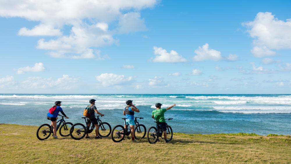 Wild South – E-Bike Adventure | Guided Off-Road Cycling Tour