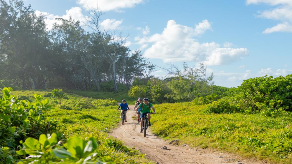 Wild South – E-Bike Adventure | Guided Off-Road Cycling Tour