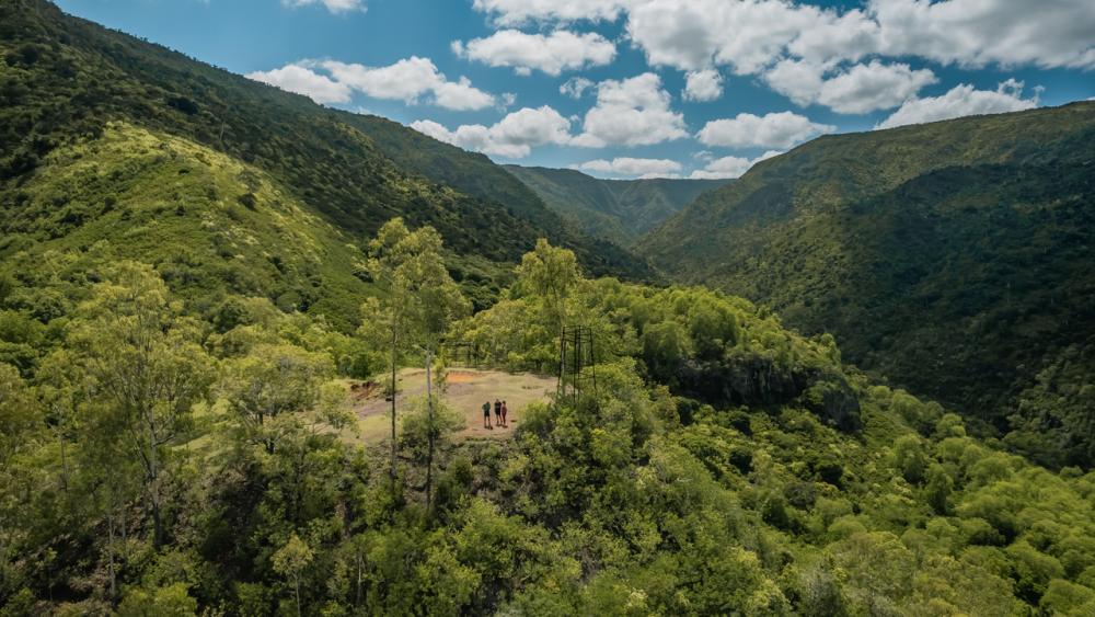Hiking in Mauritius - Black River Gorges Lower Park Entrance Forest Hike