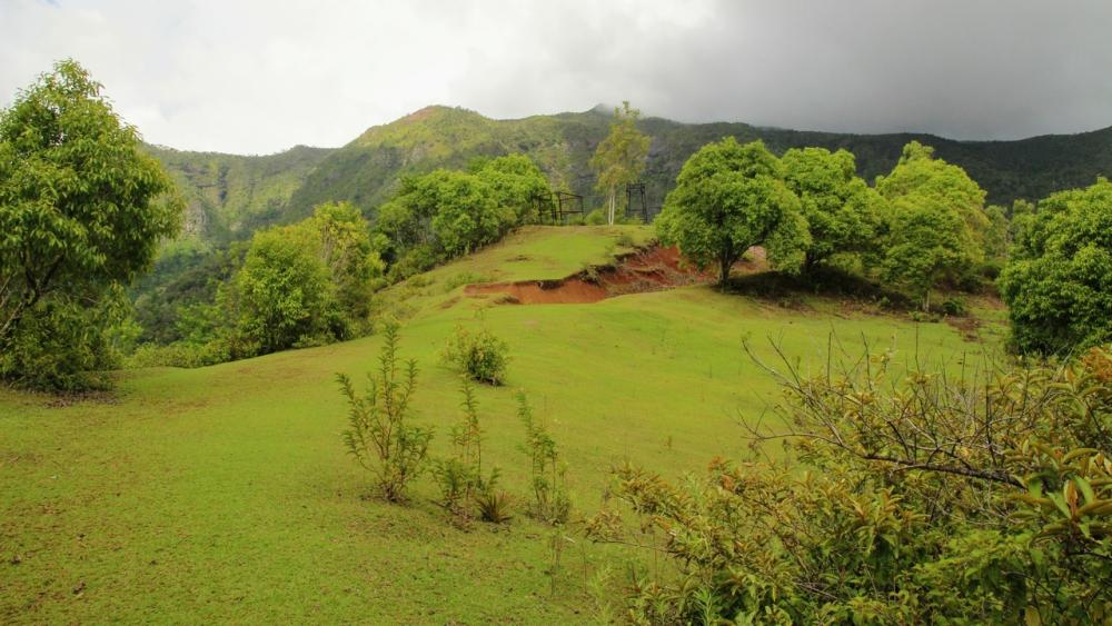 Hiking in Mauritius - Black River Gorges Lower Park Entrance Forest Hike