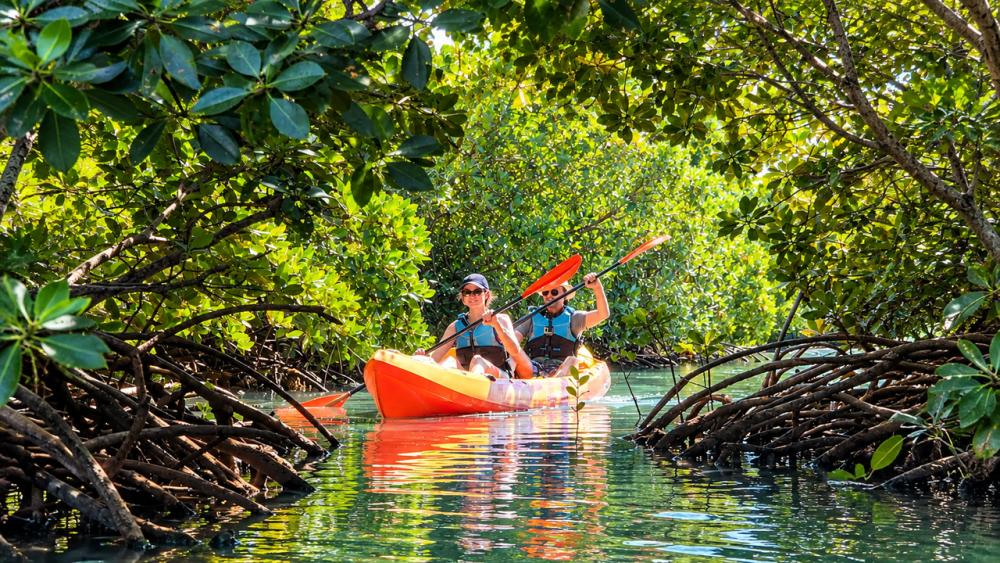 Île d’Ambre Kayaking Adventure – Mangroves & Island Discovery