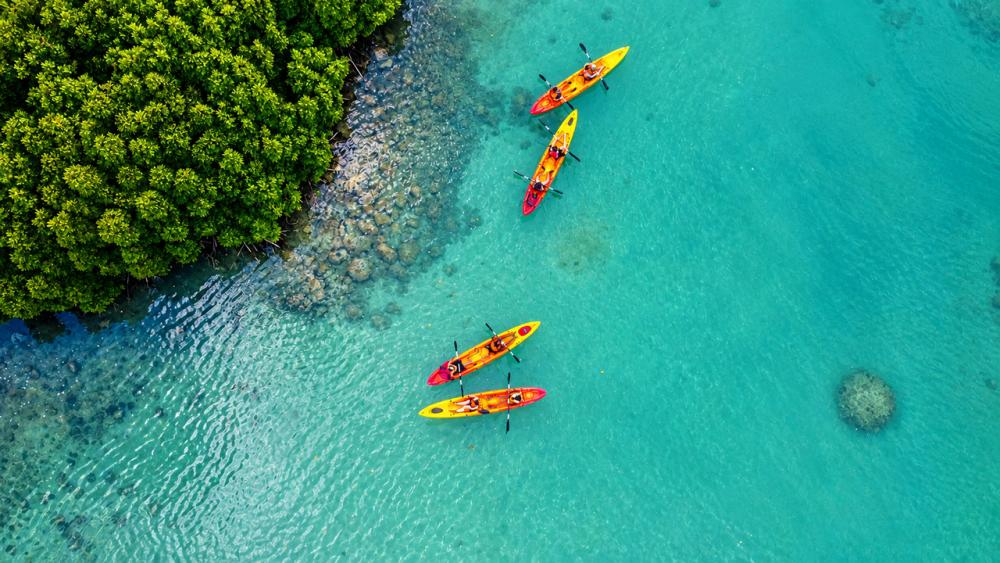 Île d’Ambre Kayaking Adventure – Mangroves & Island Discovery