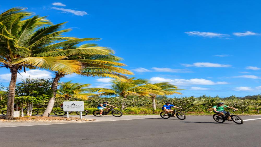 Wild South – E-Bike Adventure | Guided Off-Road Cycling Tour