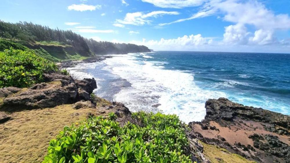 Hiking in Mauritius - The Wild South Cliff and Forest Hike