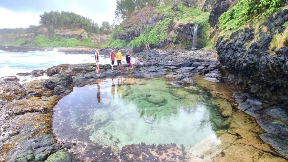 Hiking in Mauritius - The Wild South Cliff and Forest Hike