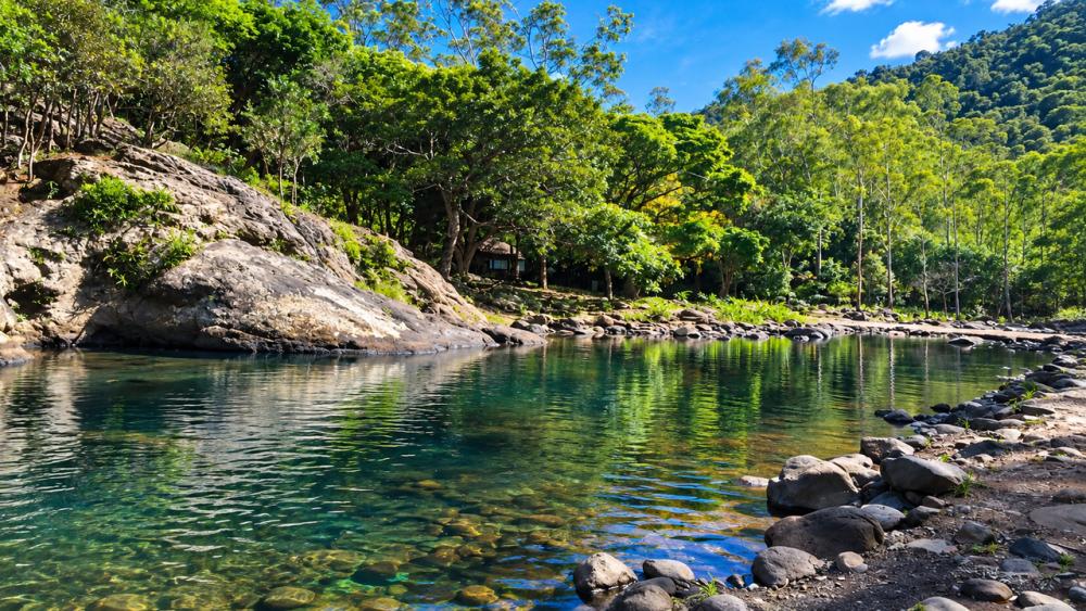Hiking in Mauritius - Black River Gorges Lower Park Entrance Forest Hike