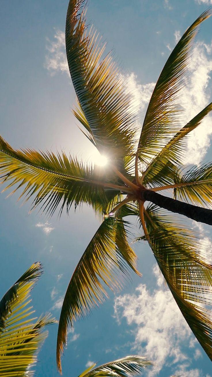 Mauritian Creole Phrases to Use on Your Island Adventure